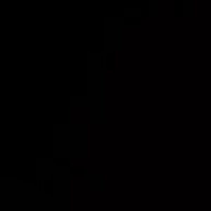 Meet your Posher, Princess